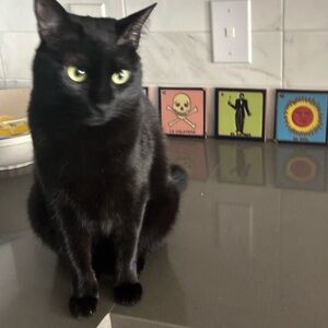 Meet your Posher, Micah